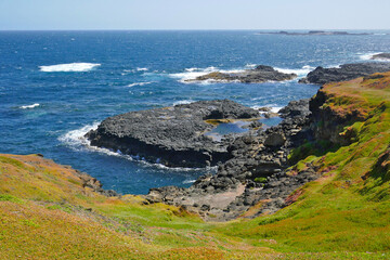 Seagulls populate the rocky outcrops surrounding the Nobbies at Phillip Island. the rugged Western part of the Island.