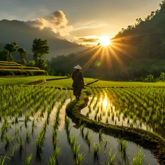 Foto auf Acrylglas Green rice fields with clear sky in the morning. Farmers pay attention to the crops they plant and see the scenery © muhammad