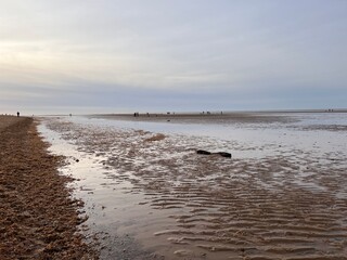 Fototapeta premium Beautiful sunset beach landscape with dog and man walking on the jurassic cliff sandy beach at Hunstanton Norfolk uk in early evening light sky reflected in the sea ocean water on the shore peaceful 