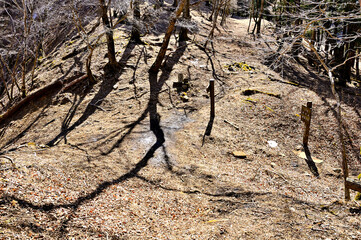 丹沢の峠　鍋割山の鍋割峠
