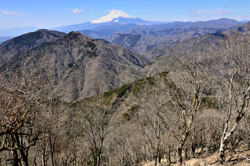 丹沢の鍋割山より望む　富士山と檜岳山稜と道志山塊
