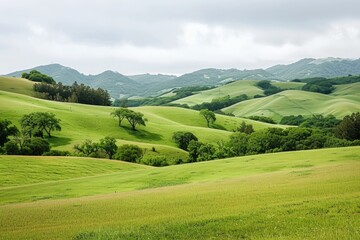 Fototapeta na wymiar Countryside with rolling hills background . 