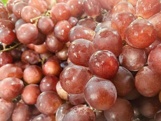 bunch of red grapes
