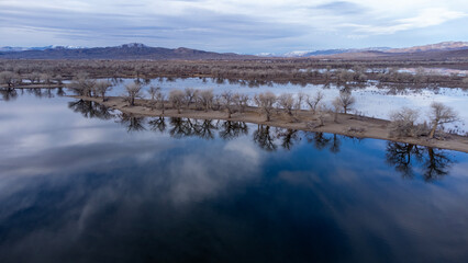 Fototapeta premium Lines of trees grow on spits of dirt in a lake
