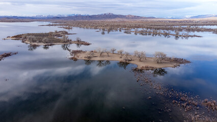 Beautifully lit patches of trees and bushes on sand bars in a lake