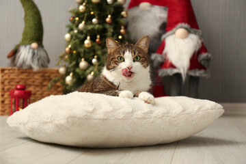 Cute cat lying on soft pillow near Christmas decor at home. Adorable pet
