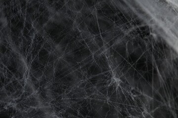 Creepy white cobweb on dark background, closeup