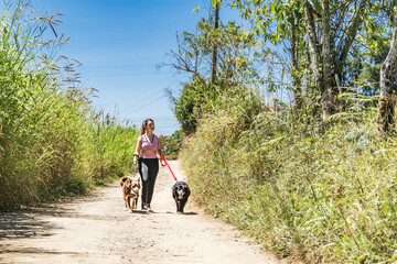 Fototapeta premium Latina woman exercising with her dogs. Woman jogging with her pets in the middle of nature. Woman walking her dogs on a sunny day. Happy dogs.