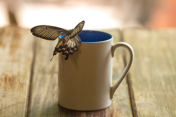 A butterfly sits on a coffee cup placed on a wooden table.