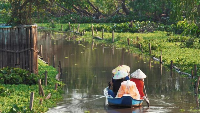 Discovering Nature's Beauty - Boat Cruise in Tra Su Nature Reserve, Vietnam