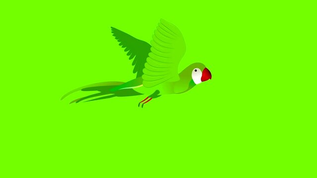 Parrot flying cycle animation 4k