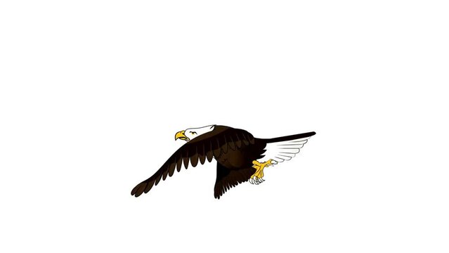 Eagle flying animation cycle, loop animation