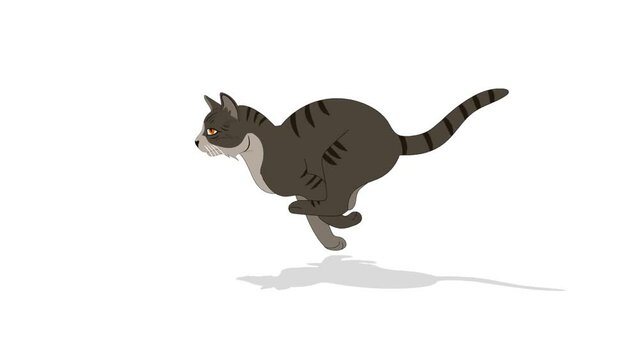 Cat Run Cycle Animation