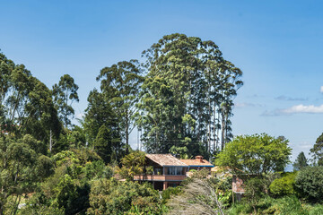 Charming farm in the middle of nature in a Colombian village. House in the forest that inspires...