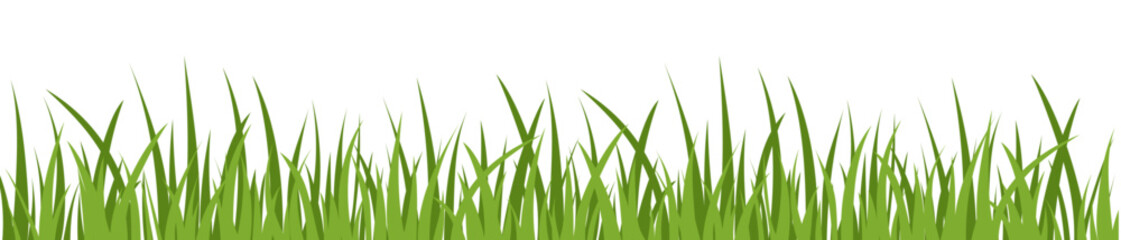 green grass cartoon isolated