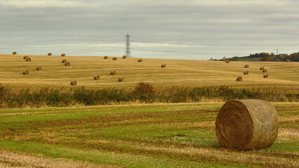 British countryside with hay bales in a field, and electricity pylons in the background