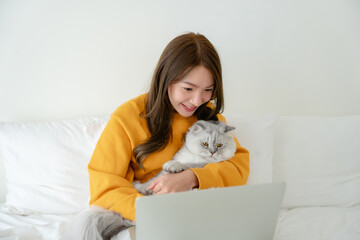 Young asian woman working at home, using laptop computer on bed in bedroom while playing cat