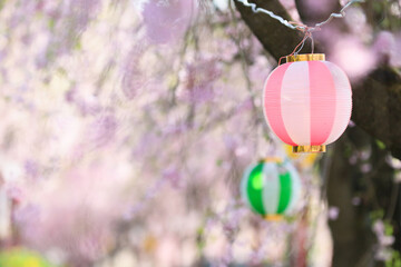 桜まつりの提灯（横）