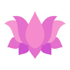 Lotus Flower Icon