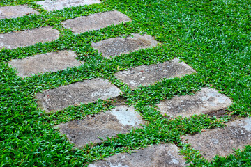 Cement block walkway walking path outdoor with grass