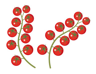 Sprig - ripe red cherry tomatoes. For printing and website decoration. Flat design.