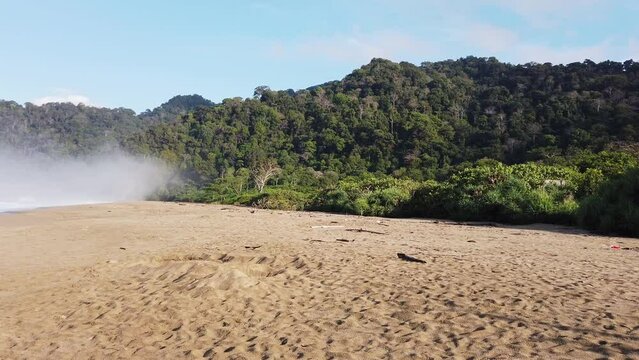 Sukumade beach in East Java, Indonesia, where the newly hatched turtles are released by the conservation center
