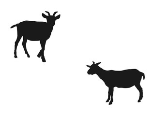 Goat silhouettes icon. Goats isolated on white, hand drawn vector illustration. silhouettes icon can be used for web and mobile. black silhouette vector illustration isolated on white background.