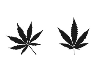 Marijuana leaf icon or cannabis icon. Vector illustration. Marijuana vector cannabis leaf weed icon logo symbol sign illustration graphic. web design, mobile app isolated on white background.