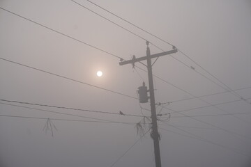 Sun, birds, and electric poles on winter mornings