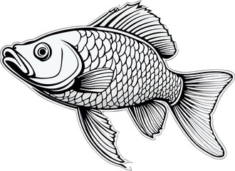 illustration of a fish Koi 015