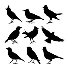 Lark bird silhouettes stencil templates