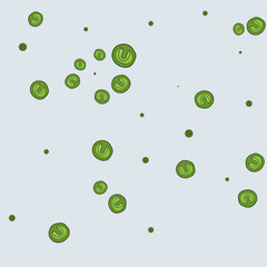 Chlorella is a genus of single-celled green algae that grows in freshwater. It's rich in nutrients like protein, vitamins, and minerals, often used as a dietary supplement or food source.