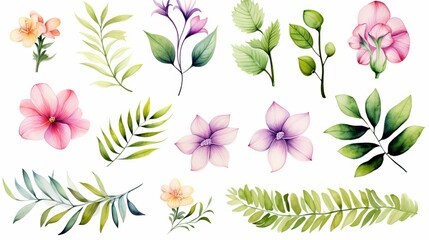Watercolor set. Colorful tropical floral collection with leaves and flowers, drawing watercolor on the white background. Spring or summer design for invitation, wedding or greeting cards