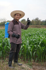 Asian man farmer carries blue sprayer on back to spray organic fertilizers in maize garden. Full...