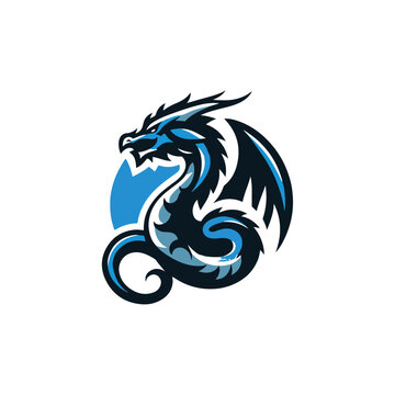 Dragon Logo symbol vector illustration , Vector template 