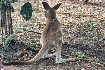 Port Douglas, Queensland, Australia