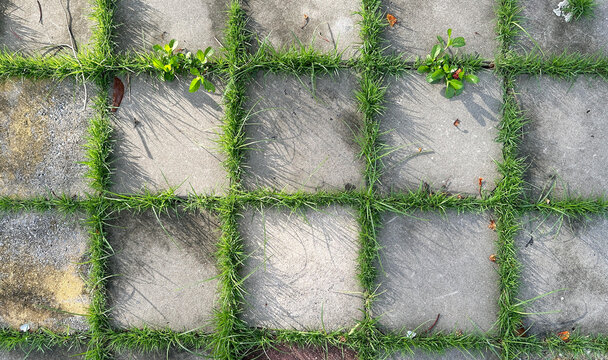 Top view square block cement concrete green grass pattern parking. Geometric concrete Eco parking floor texture background. Eco-friendly parking of concrete cells and turf grass.