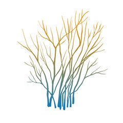Leafless winter bush. Hand drawn colourful sketch. Line art. Black and white design element on white background. Isolated. Tattoo image. - 739112066