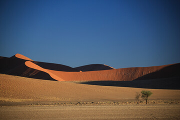 Fototapeta na wymiar red sand dunes of Namib desert