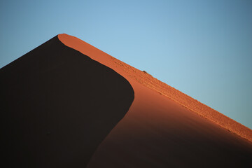 the first rays of sun of the day illuminate a large, red sand dune in the Namib desert