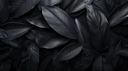 Fotobehang Textures of abstract black leaves for tropical leaf background. © Onchira