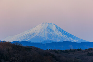 ビーナス富士山