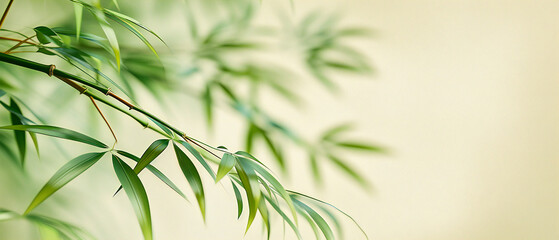 Fototapeta premium Verdant Tranquility: The Lush Greenery of Bamboo, Offering a Moment of Peace in Natures Embrace