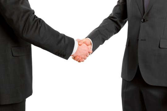 Firm handshake between two businessmen, commitment and professionalism concept