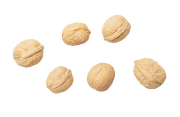 Walnuts isolated white background