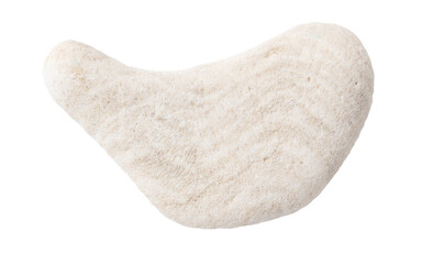 Coral stone isolated white background. Close-up