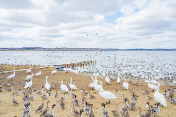 北海道　クッチャロ湖（浜頓別町）