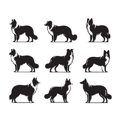 Celestial Charm: Border Collie Silhouette in Harmonious Night - Border Collie Illustration - Border Collie Vector Stock
