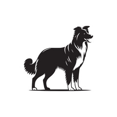 Radiant Revelry: Border Collie Silhouette in Dazzling Lunar Light - Border Collie Illustration - Border Collie Vector Stock
