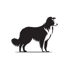 Nebula Nostalgia: Border Collie Silhouette Amidst Astral Beauty - Border Collie Illustration - Border Collie Vector Stock
